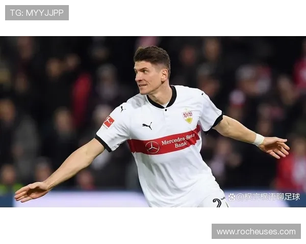 海登海姆战斯图加特今双线直播